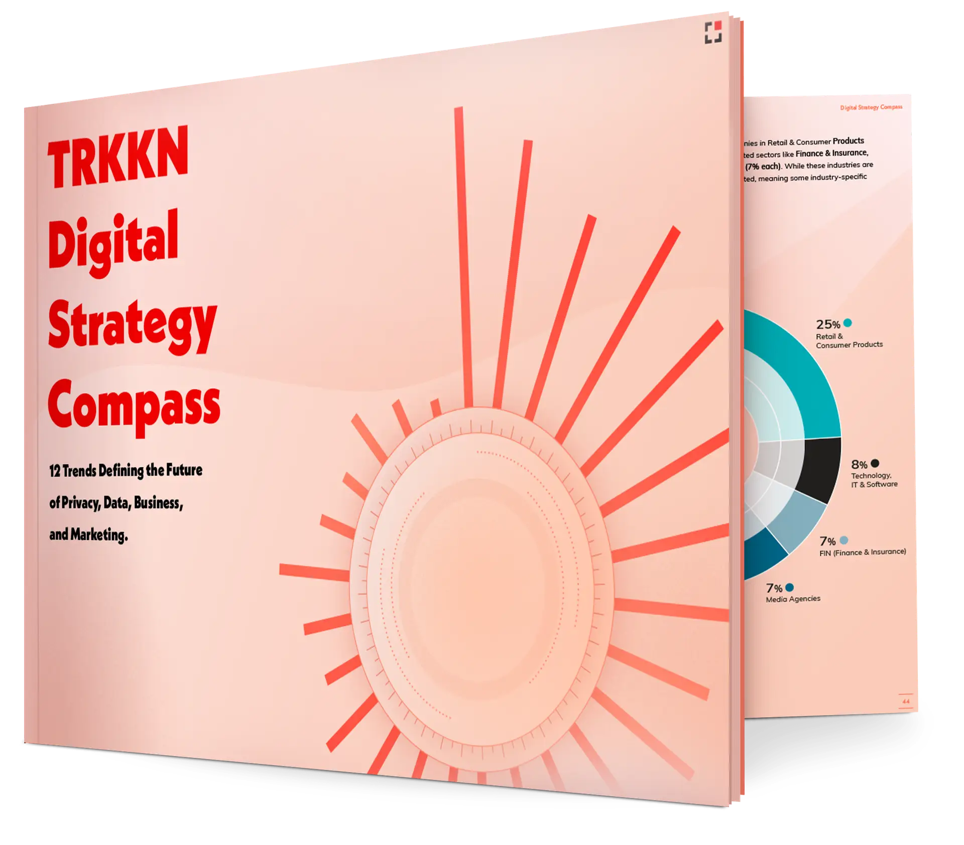 TRKKN's Digital Strategy Compass - the status quo of digital marketing in Europe